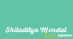 Shiladitya Mondal