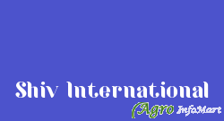 Shiv International palanpur india