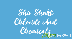 Shiv Shakti Chloride And Chemicals ankleshwar india