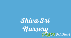 Shiva Sri Nursery