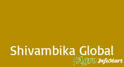 Shivambika Global lucknow india