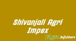 Shivanjali Agri Impex