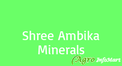 Shree Ambika Minerals bhavnagar india
