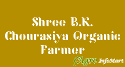 Shree B.K. Chourasiya Organic Farmer