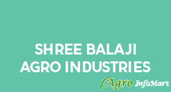 Shree Balaji Agro Industries rajkot india