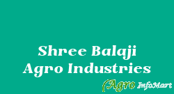 Shree Balaji Agro Industries ambala india