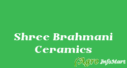 Shree Brahmani Ceramics ahmedabad india