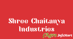 Shree Chaitanya Industries delhi india