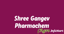 Shree Gangev Pharmachem