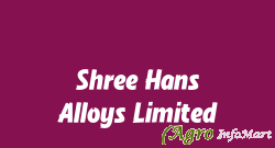 Shree Hans Alloys Limited ahmedabad india