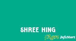 Shree Hing delhi india
