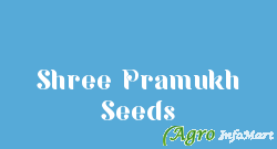 Shree Pramukh Seeds mansa india