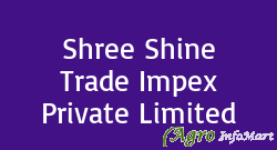 Shree Shine Trade Impex Private Limited