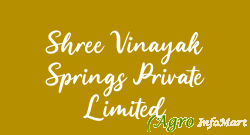 Shree Vinayak Springs Private Limited