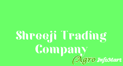 Shreeji Trading Company delhi india