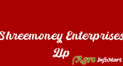 Shreemoney Enterprises Llp