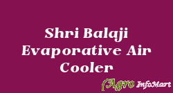 Shri Balaji Evaporative Air Cooler bhilwara india