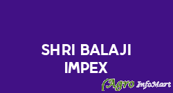 Shri Balaji Impex ludhiana india