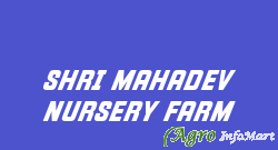 SHRI MAHADEV NURSERY FARM anand india
