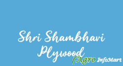 Shri Shambhavi Plywood delhi india
