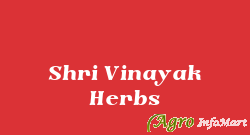Shri Vinayak Herbs