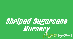 Shripad Sugarcane Nursery  