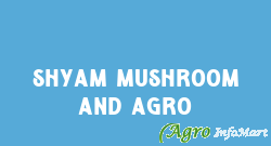 Shyam Mushroom And Agro bilaspur india