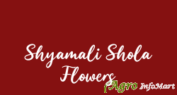 Shyamali Shola Flowers