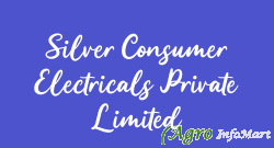 Silver Consumer Electricals Private Limited rajkot india