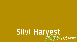 Silvi Harvest hyderabad india