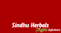 Sindhu Herbals hyderabad india