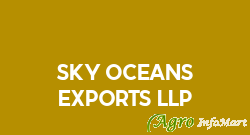 Sky Oceans Exports LLP pune india