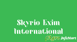 Skyrio Exim International pune india