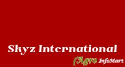 Skyz International