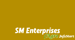 SM Enterprises pune india