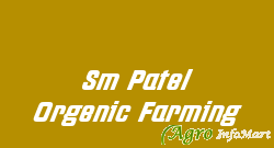 Sm Patel Orgenic Farming