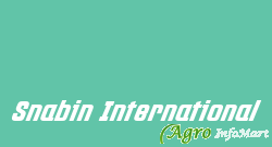 Snabin International