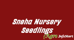 Sneha Nursery Seedlings hyderabad india