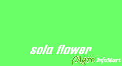 sola flower