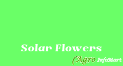 Solar Flowers chennai india