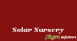 Solar Nursery chennai india