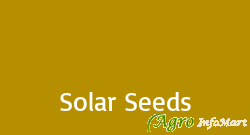 Solar Seeds