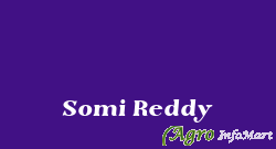 Somi Reddy solapur india
