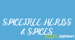SPICETREE HERBS & SPICES idukki india