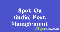 Spot On (india) Pest Management mumbai india
