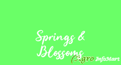 Springs & Blossoms bangalore india