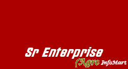 Sr Enterprise