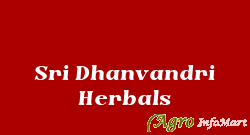 Sri Dhanvandri Herbals