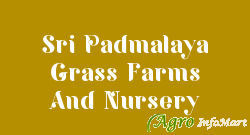 Sri Padmalaya Grass Farms And Nursery