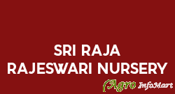 Sri Raja Rajeswari Nursery rajahmundry india